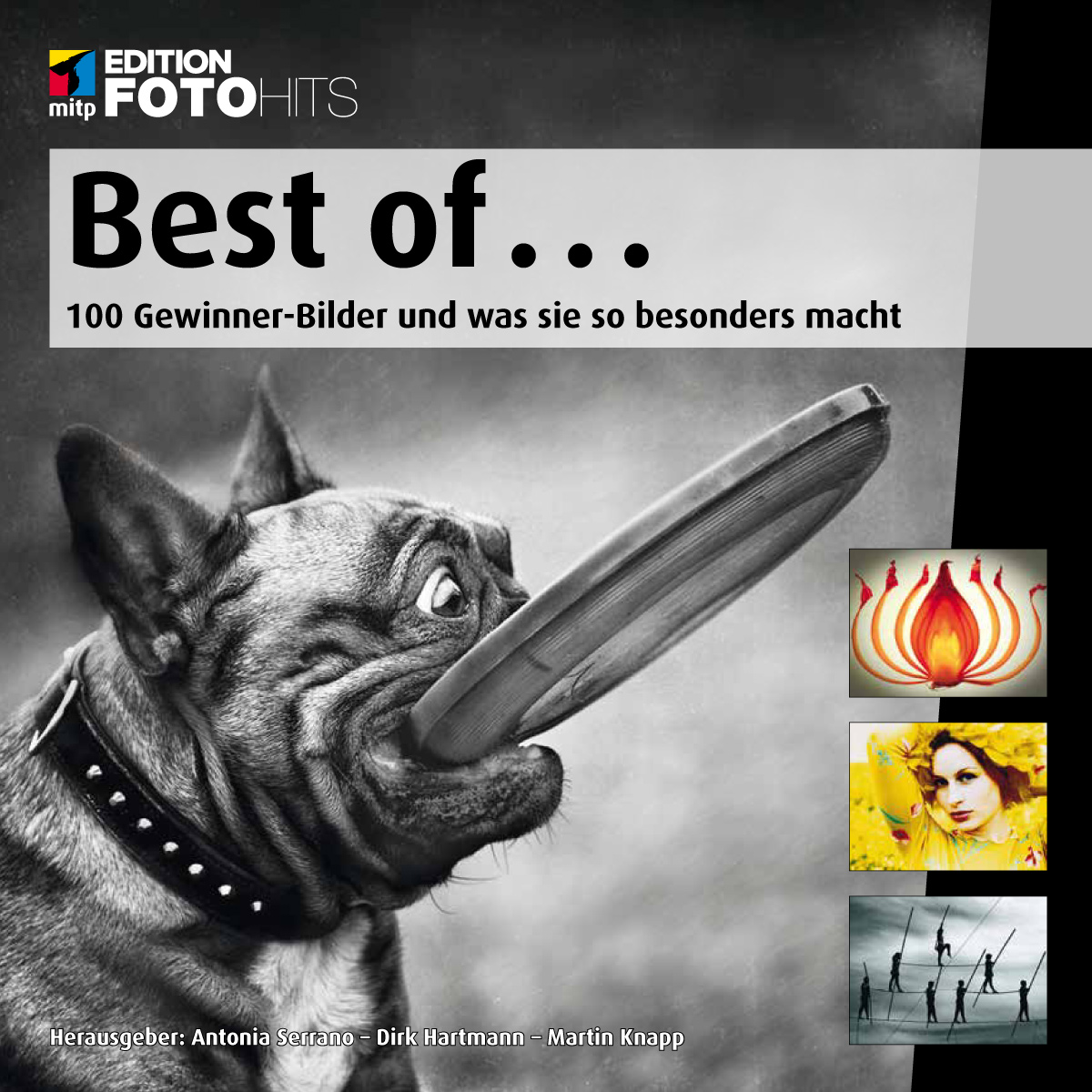 Best of … 100 Gewinner-Bilder und was sie so besonders macht