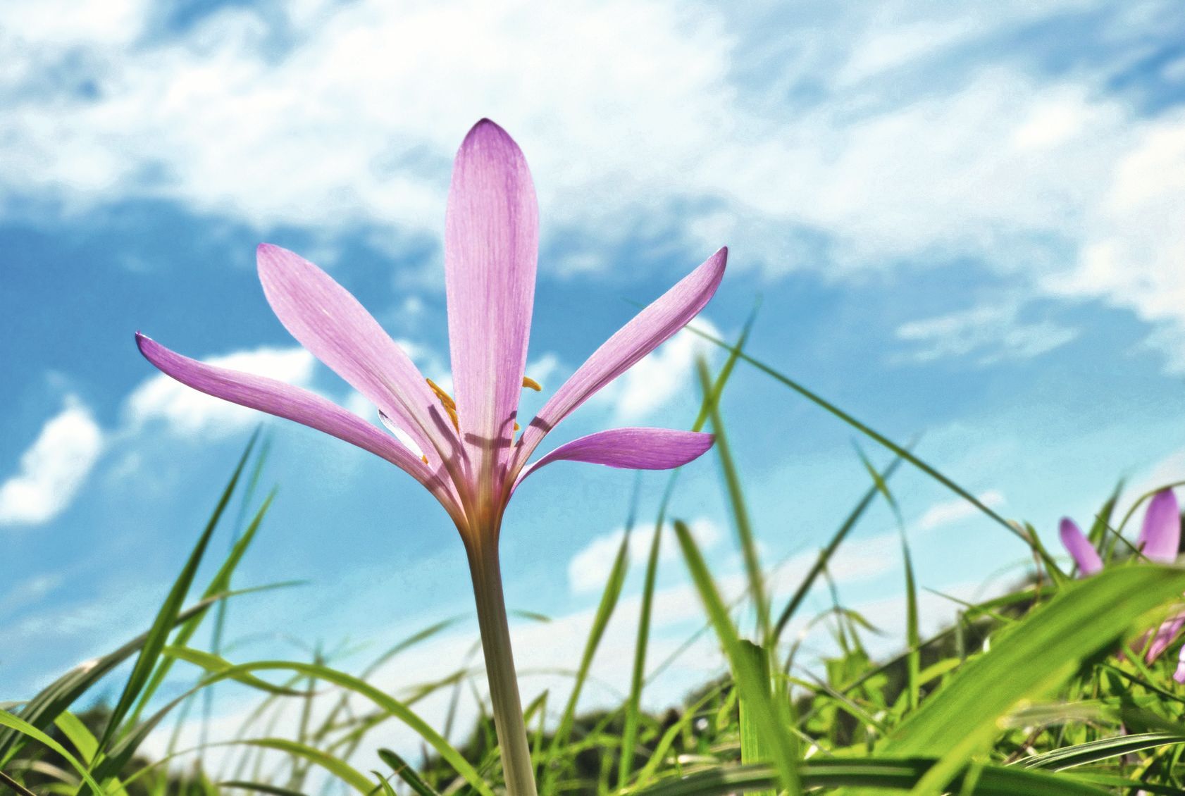 Petair@fotolia.de