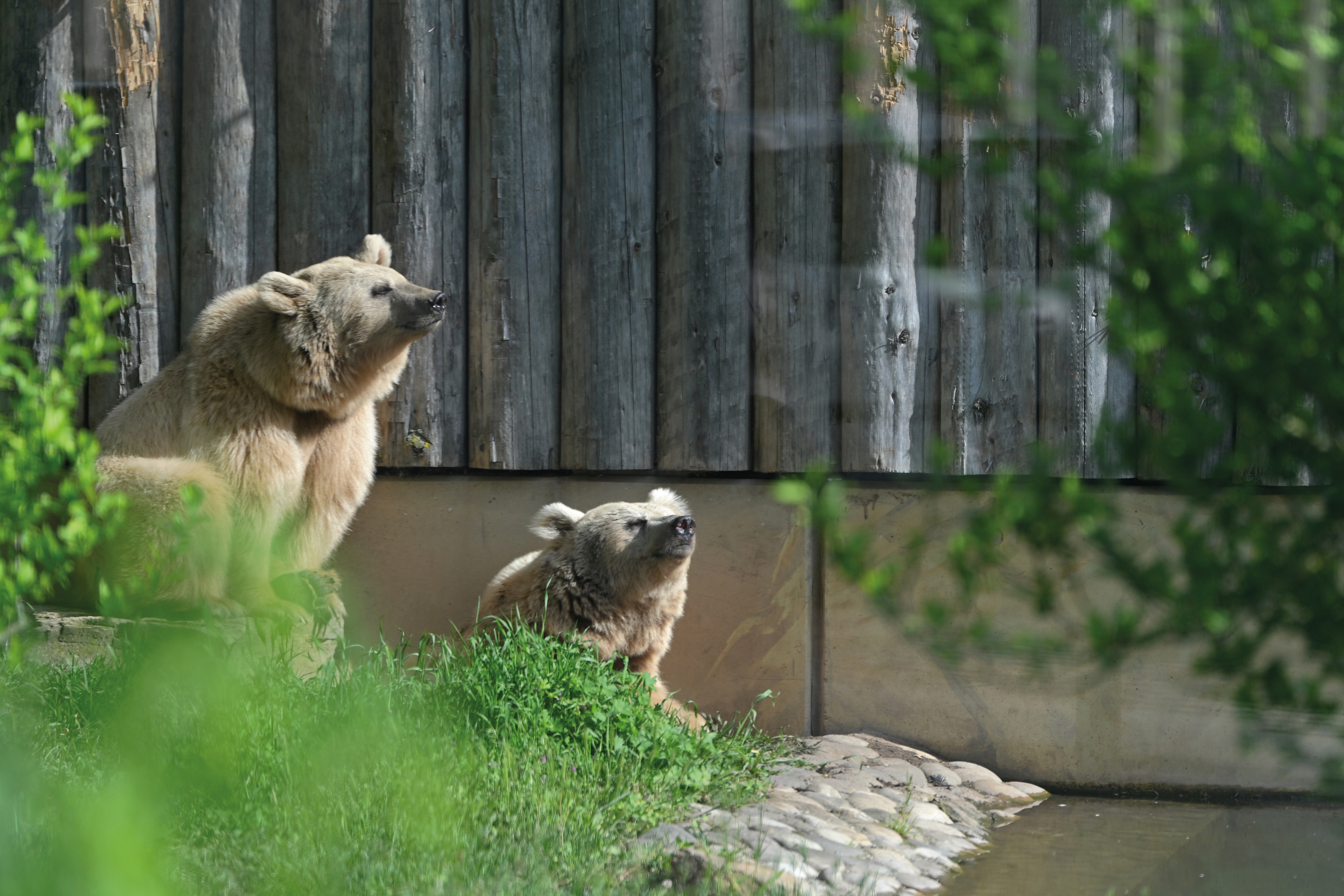 NIKKOR Z 70-180mm f/2.8